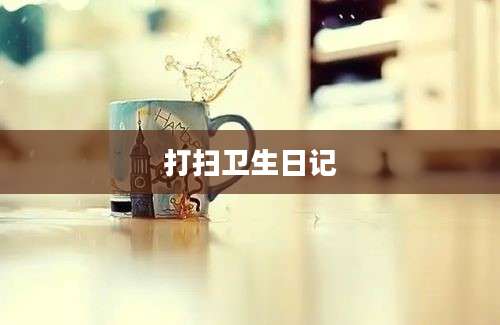 打扫卫生日记