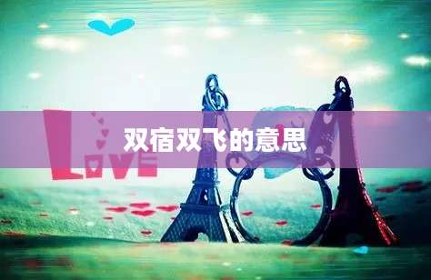 双宿双飞的意思