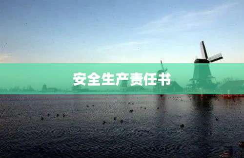 安全生产责任书