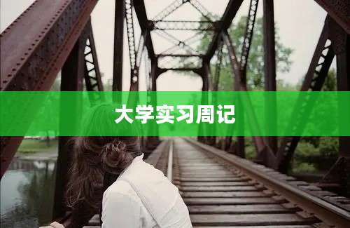 大学实习周记