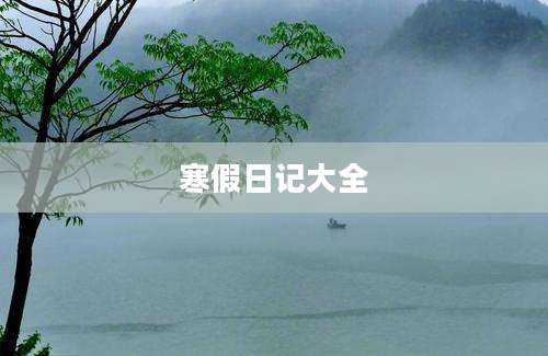 寒假日记大全