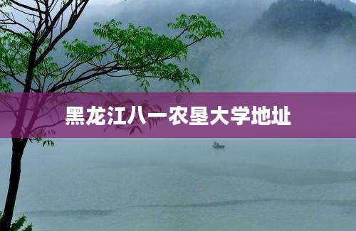黑龙江八一农垦大学地址