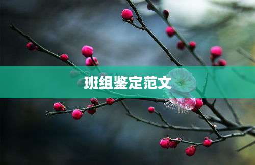 班组鉴定范文