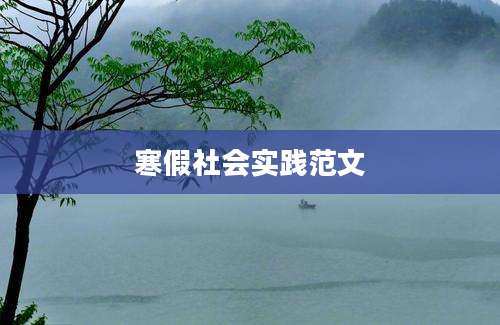 寒假社会实践范文