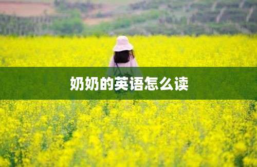 奶奶的英语怎么读