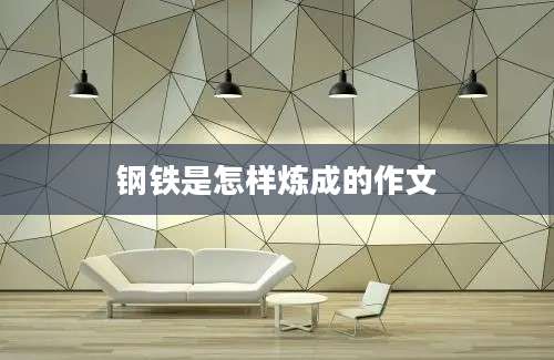 钢铁是怎样炼成的作文