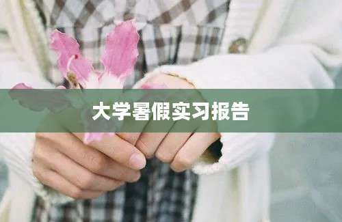 大学暑假实习报告