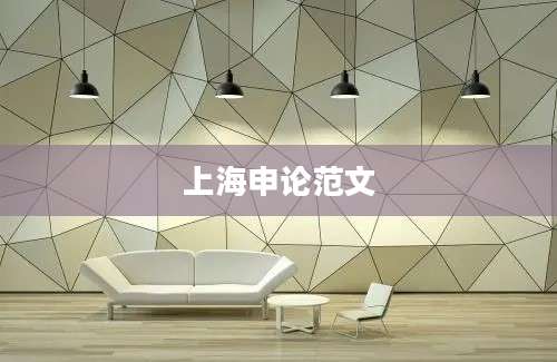 上海申论范文