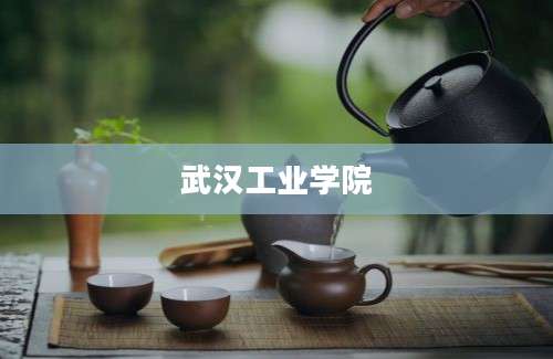 武汉工业学院