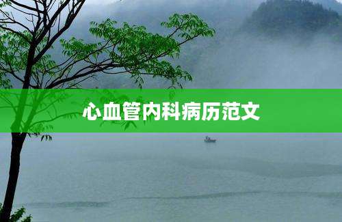 心血管内科病历范文