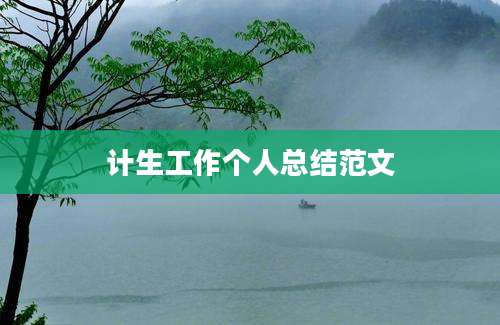 计生工作个人总结范文