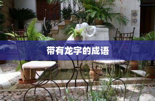 带有龙字的成语