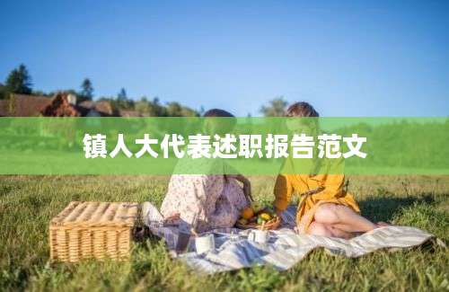镇人大代表述职报告范文