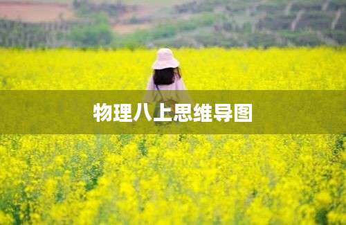 物理八上思维导图