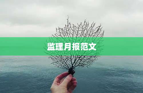 监理月报范文