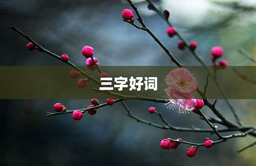 三字好词