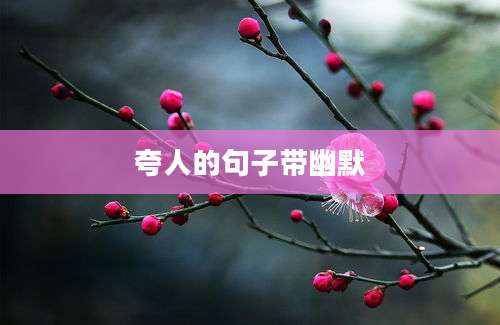 夸人的句子带幽默