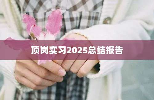顶岗实习2025总结报告