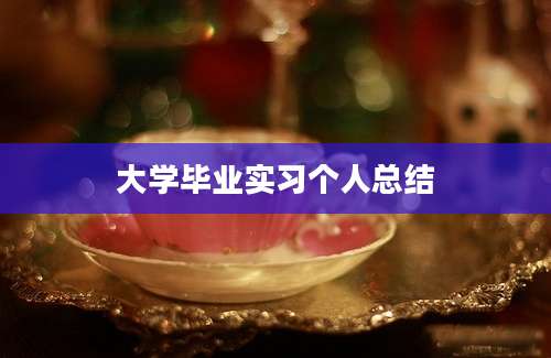 大学毕业实习个人总结
