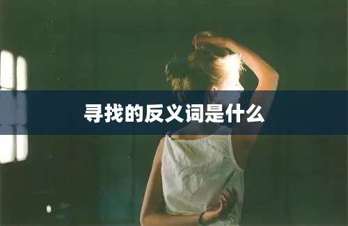 寻找的反义词是什么