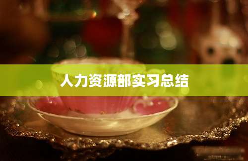 人力资源部实习总结