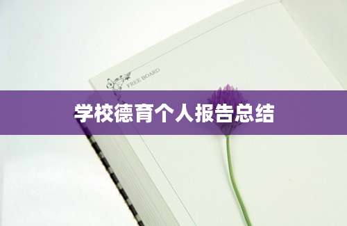 学校德育个人报告总结