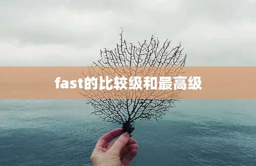 fast的比较级和最高级