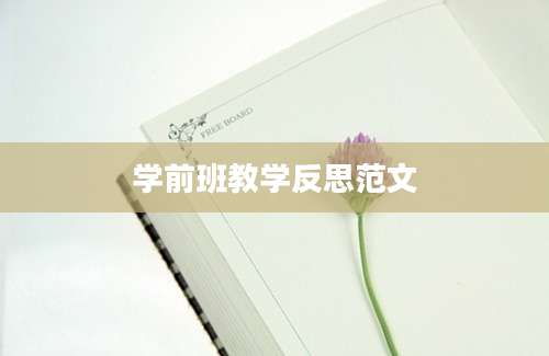 学前班教学反思范文