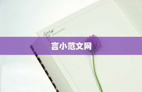 言小范文网