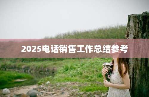 2025电话销售工作总结参考