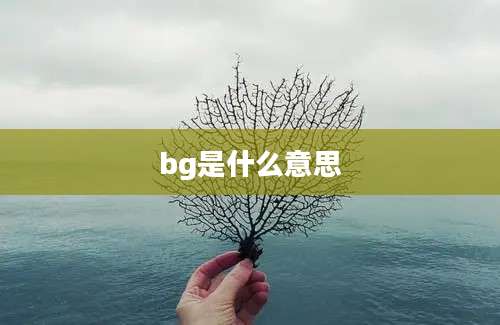 bg是什么意思