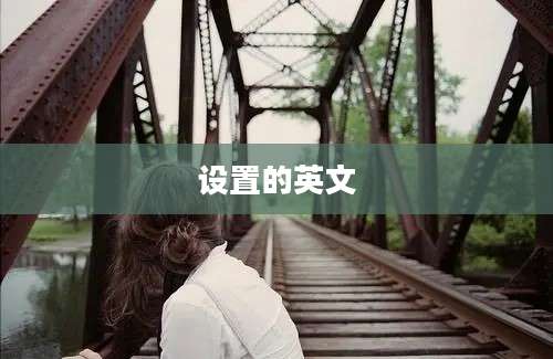设置的英文