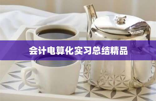 会计电算化实习总结精品