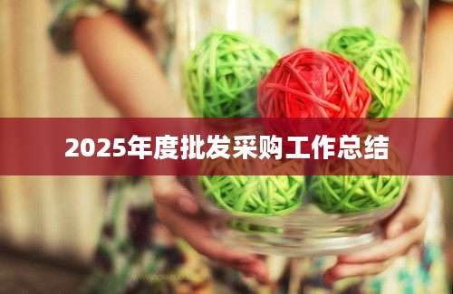 2025年度批发采购工作总结