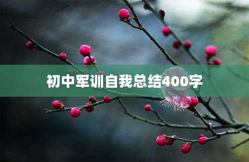 初中军训自我总结400字