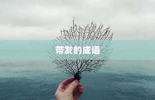 带发的成语