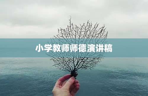 小学教师师德演讲稿