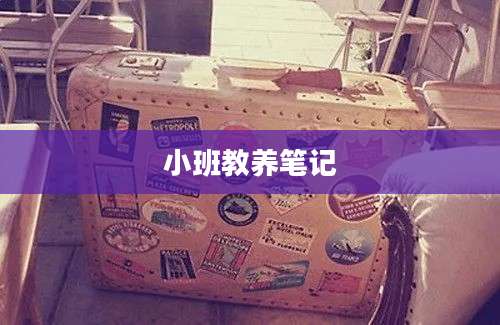 小班教养笔记