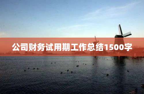 公司财务试用期工作总结1500字