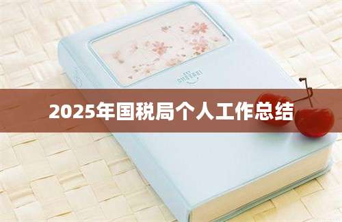 2025年国税局个人工作总结