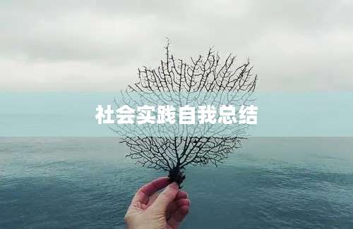 社会实践自我总结
