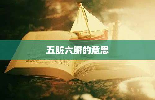 五脏六腑的意思