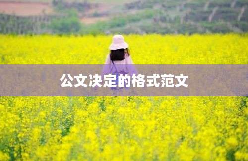 公文决定的格式范文
