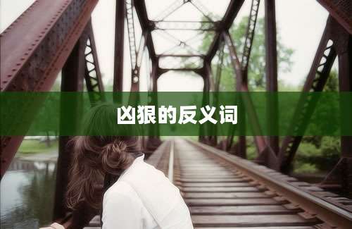 凶狠的反义词