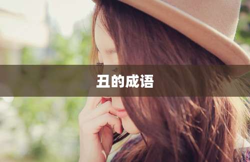 丑的成语