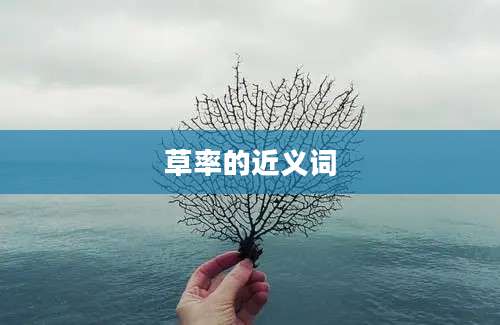 草率的近义词