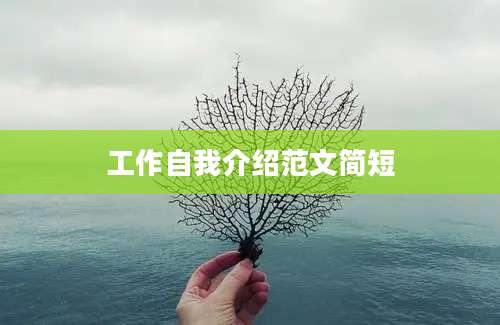 工作自我介绍范文简短
