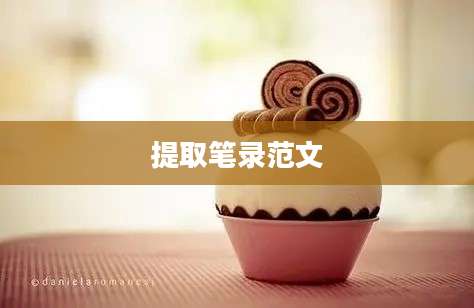 提取笔录范文
