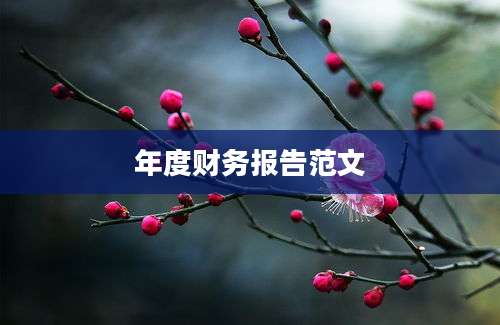 年度财务报告范文
