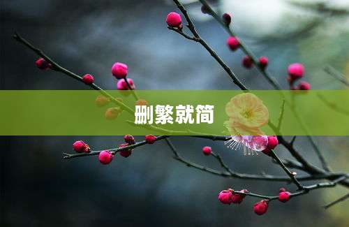 删繁就简